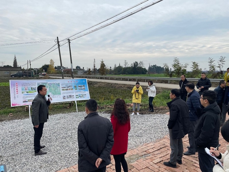 農業CEO平臺助力什邡馬井申報蔬菜省星級現代農業園區