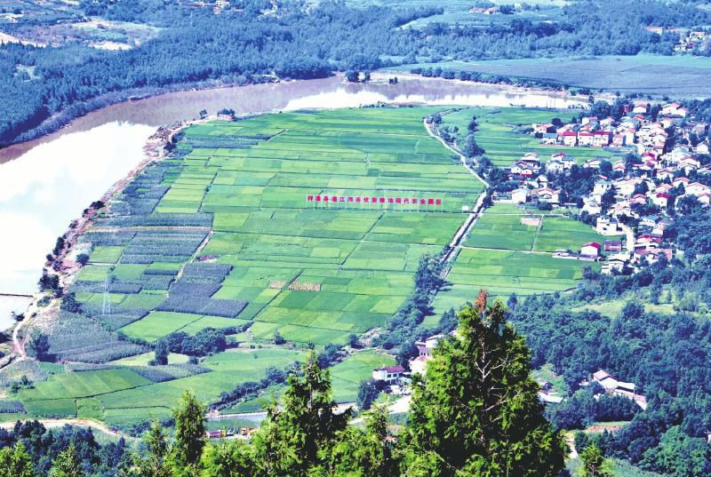 農業CEO平臺協助梓潼縣省級現代農業園區申報創建工作順利完成