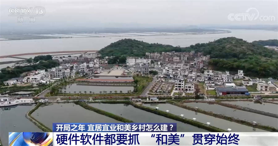 實施鄉村振興戰略，繪就和美鄉村新畫卷