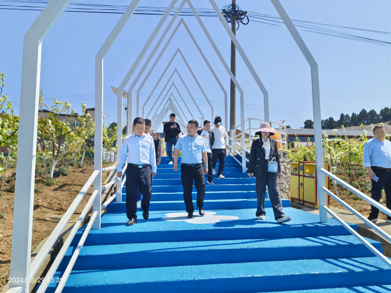 四川宜居宜業(yè)和美鄉(xiāng)村建設研究院受邀考察調(diào)研利州區(qū)宜居宜業(yè)和美鄉(xiāng)村建設