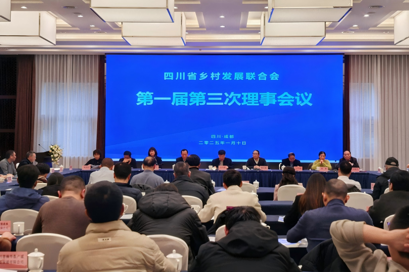 我院在四川省鄉村發展聯合會召開第一屆第三次理事會議發言